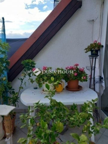 Eladó téglalakás, Budapesten, II. kerületben 285 M Ft, 5 szobás
