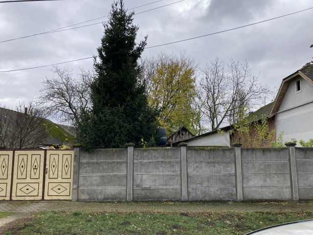 Eladó családi ház, Makón 31 M Ft, 4+2 szobás