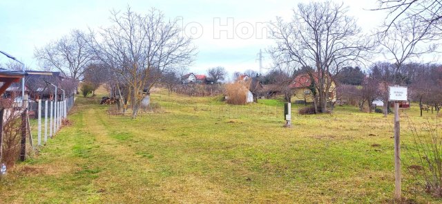 Eladó mezogazdasagi ingatlan, Zamárdiban 19.999 M Ft