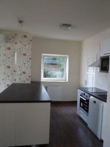 Kiadó téglalakás, albérlet, II. kerületben, Szalamandra közben