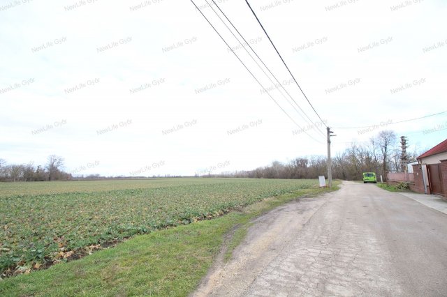 Eladó mezogazdasagi ingatlan, Lébényben 100 M Ft