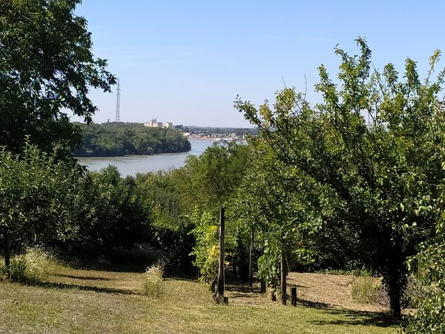 Eladó családi ház, Mohácson 15.9 M Ft, 1 szobás