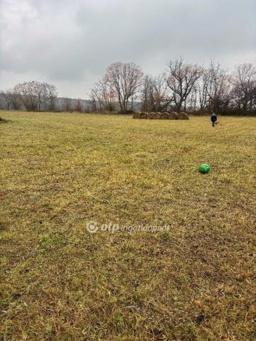 Eladó telek, Budajenőn 550 M Ft / költözzbe.hu
