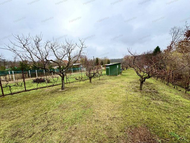 Eladó mezogazdasagi ingatlan, Nyírpazonyon 6.9 M Ft