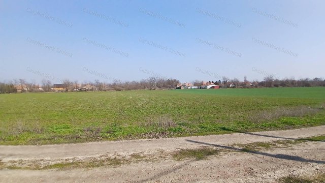 Eladó telek, Tiszaföldváron 3.6 M Ft / költözzbe.hu