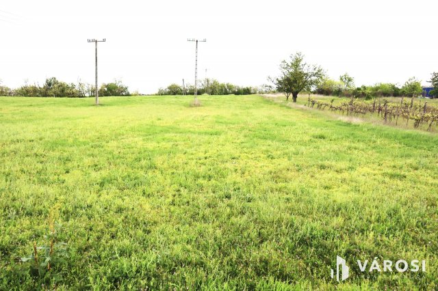 Eladó telek, Kőröshegyen 3.9 M Ft / költözzbe.hu