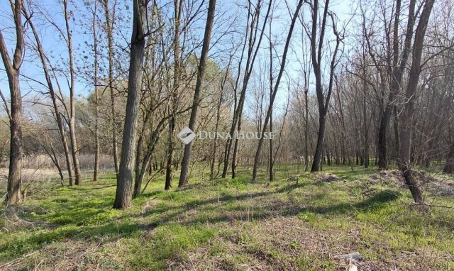 Eladó családi ház, Györkönyön 47 M Ft, 5 szobás