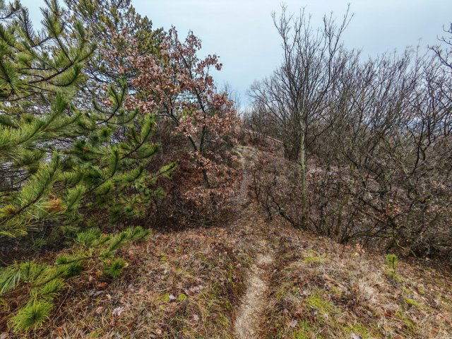 Eladó telek, Kincsesbányán 49 M Ft / költözzbe.hu