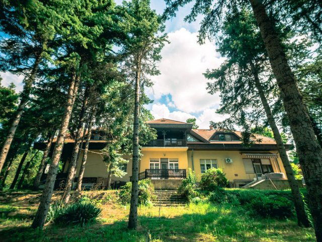 Eladó családi ház, Gödön 550 M Ft, 12 szobás