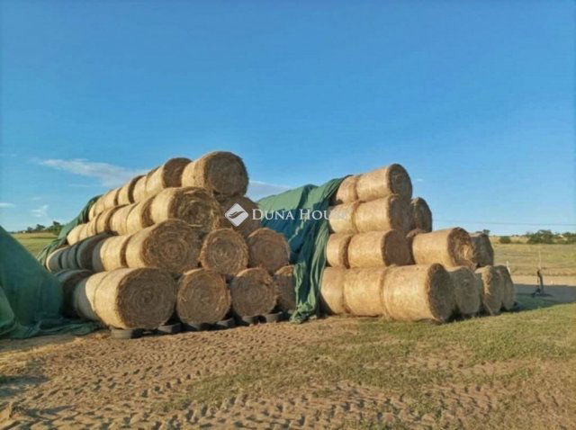 Eladó mezogazdasagi ingatlan, Fóton 198 M Ft