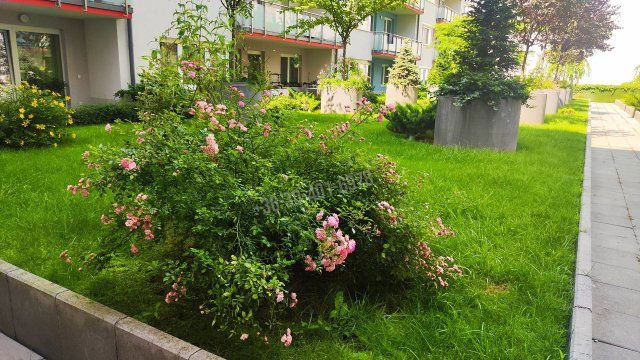 Eladó téglalakás, Budapesten, XIII. kerületben 120.84 M Ft