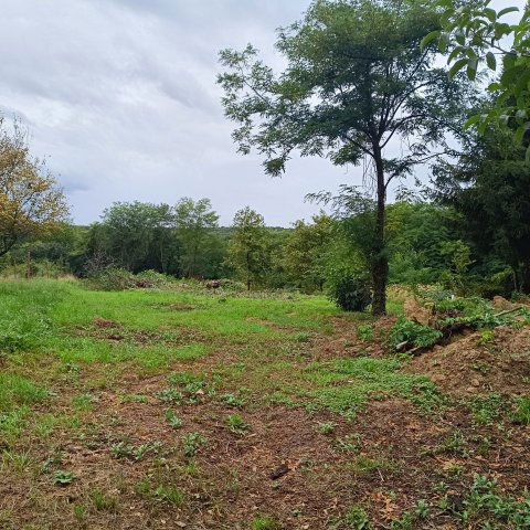 Eladó telek, Nagybakónakon 2.6 M Ft / költözzbe.hu