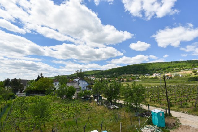 Eladó telek, Csopakon 89.9 M Ft / költözzbe.hu