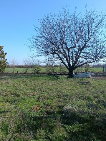 Eladó telek, Érden 14.99 M Ft / költözzbe.hu