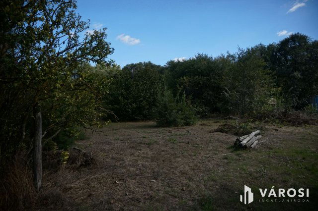 Eladó mezogazdasagi ingatlan, Csemőn 2.49 M Ft