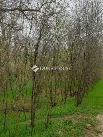 Eladó telek, Szegeden 176 M Ft / költözzbe.hu