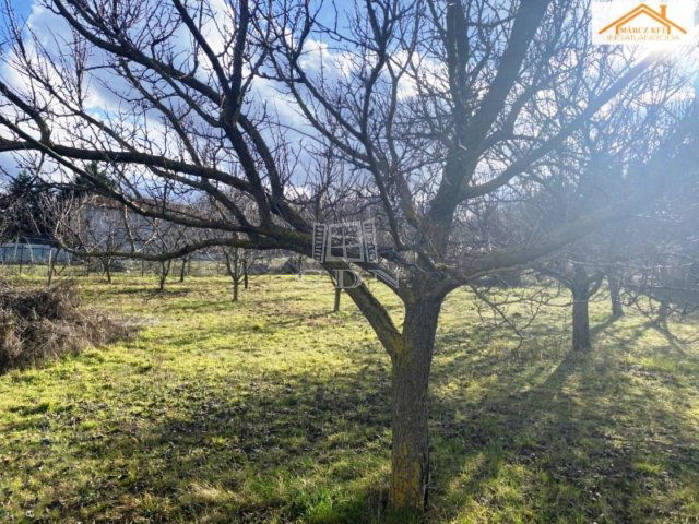 Eladó telek, Sárszentmihályon 13 M Ft / költözzbe.hu