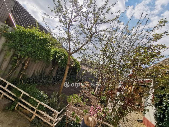 Eladó családi ház, Baján 16.8 M Ft, 2 szobás