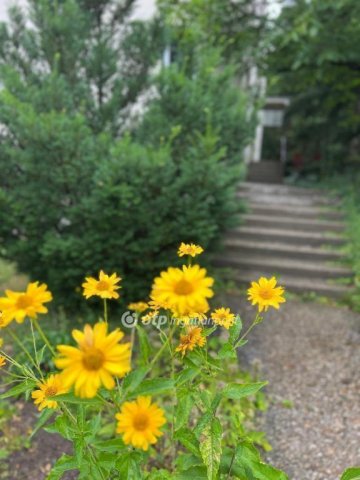 Eladó téglalakás, Budapesten, II. kerületben 96 M Ft, 2+1 szobás