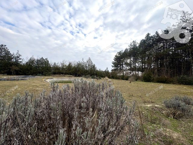 Eladó családi ház, Kecskeméten 68.52 M Ft, 5 szobás