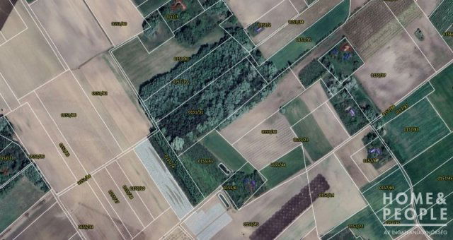 Eladó mezogazdasagi ingatlan, Zákányszéken 16.5 M Ft