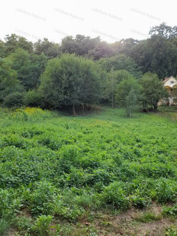 Eladó mezogazdasagi ingatlan, Kaposváron 2.5 M Ft