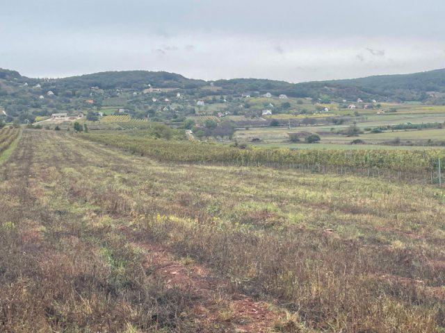 Eladó mezogazdasagi ingatlan, Zánkán 8.6 M Ft