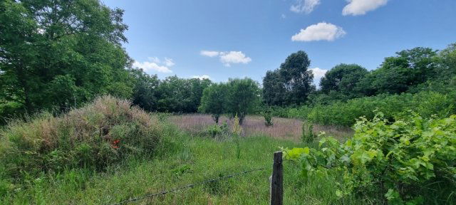 Eladó telek, Helvécián 17.9 M Ft / költözzbe.hu