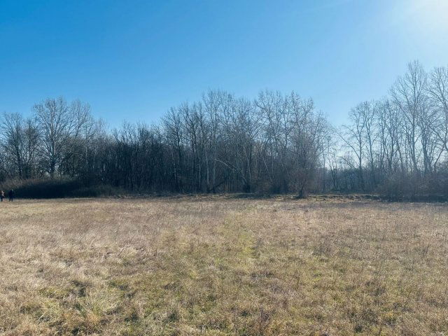 Eladó mezogazdasagi ingatlan, Debrecenben 20 M Ft