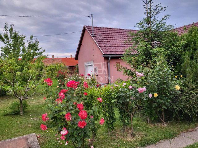 Eladó családi ház, Polgárdin 39.9 M Ft, 3 szobás