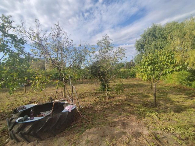 Eladó mezogazdasagi ingatlan, Nagykőrösön 3.5 M Ft