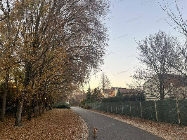 Eladó családi ház, Kecskeméten 248 M Ft, 7 szobás