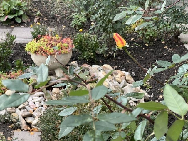 Eladó panellakás, Algyőn 47.5 M Ft, 1+1 szobás