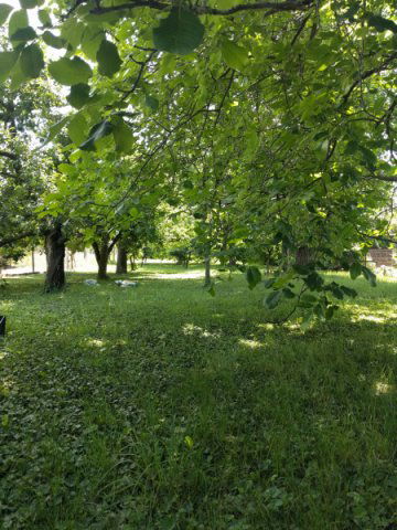 Eladó telek, Balatonalmádiban 32 M Ft / költözzbe.hu