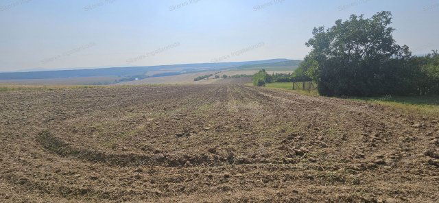 Eladó mezogazdasagi ingatlan, Szomoron 7 M Ft