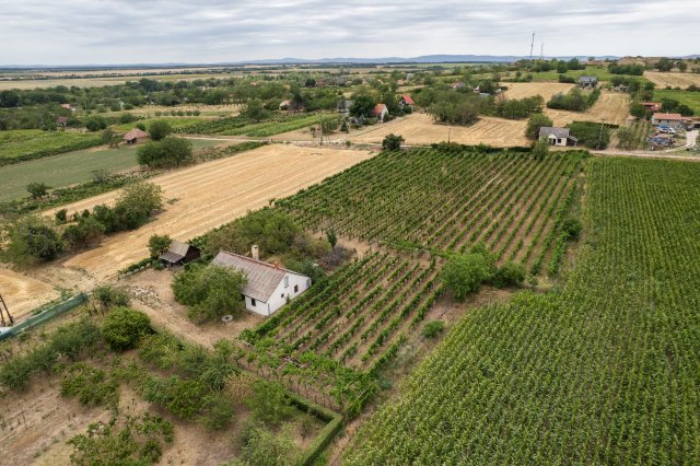 Eladó mezogazdasagi ingatlan, Polgárdin 45 M Ft
