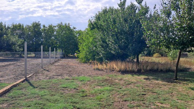 Eladó családi ház, Tiszatenyőn 8.75 M Ft, 2+1 szobás