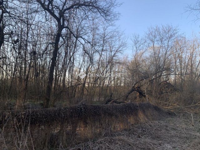 Eladó telek, Őrbottyánban 6.2 M Ft / költözzbe.hu