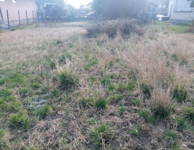 Eladó telek, Pusztaszabolcson 15 M Ft / költözzbe.hu