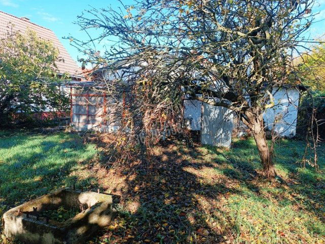 Eladó családi ház, Délegyházán 35 M Ft, 1+1 szobás