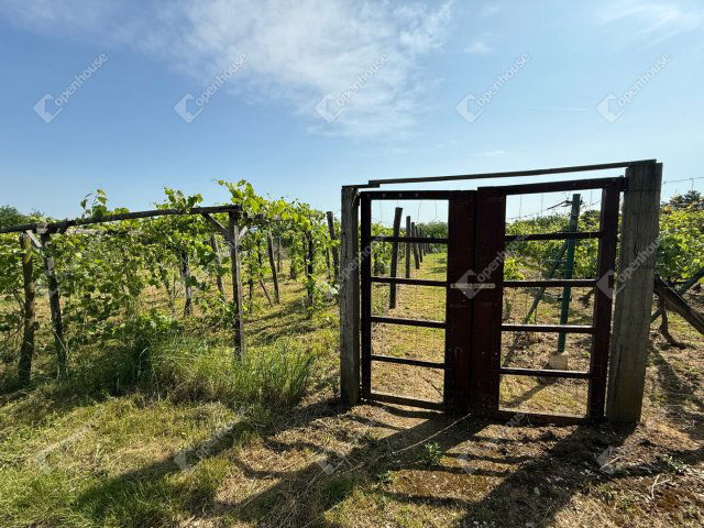 Eladó telek, Boncodföldén 0.85 M Ft / költözzbe.hu