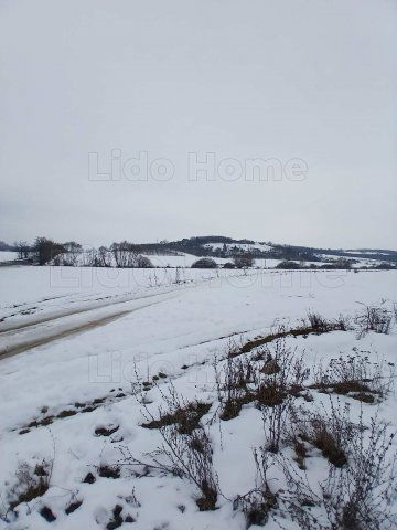 Eladó mezogazdasagi ingatlan, Környén 28 M Ft