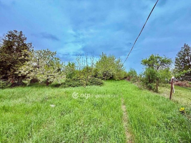 Eladó telek, Solymáron 59.99 M Ft / költözzbe.hu