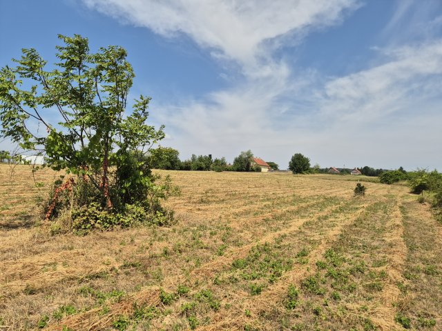 Eladó telek, Cserszegtomajon 19.9 M Ft / költözzbe.hu