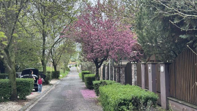 Eladó sorház, Budapesten, X. kerületben 140 M Ft, 5 szobás