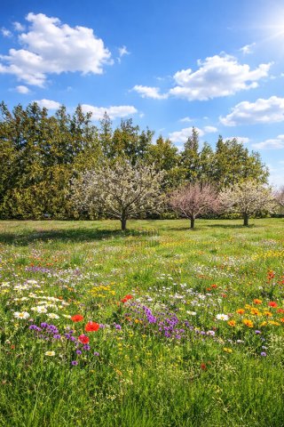 Eladó telek, Érden 11.999 M Ft / költözzbe.hu