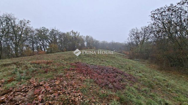 Eladó telek, Balatonszőlősön 45 M Ft / költözzbe.hu