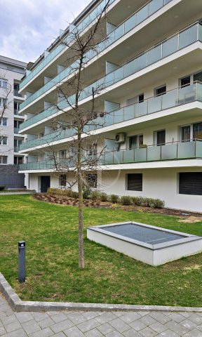 Kiadó téglalakás, albérlet, XIII. kerületben, Országbíró utcában