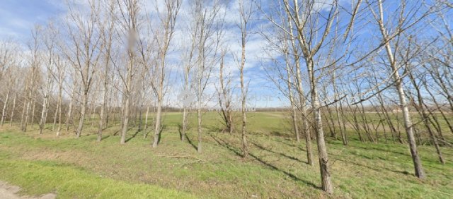 Eladó telek, Monoron 300 M Ft / költözzbe.hu