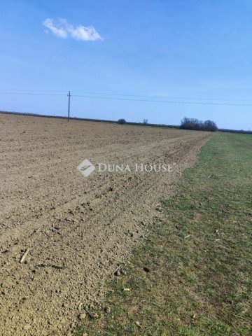Eladó telek, Cigándon 3.1 M Ft / költözzbe.hu